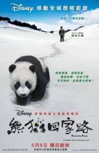смотреть След панды (2009) онлайн